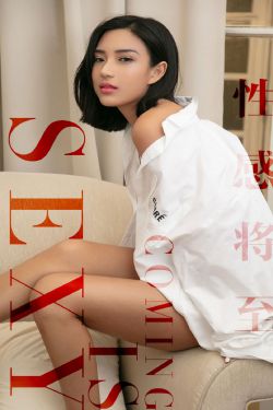 棋魂电视剧免费观看全集在线观看